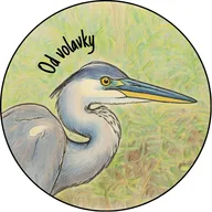 Od volavky