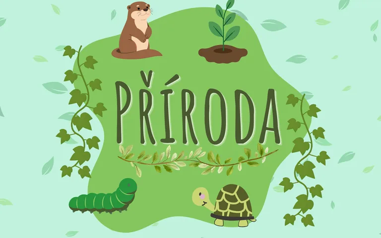 Příroda
