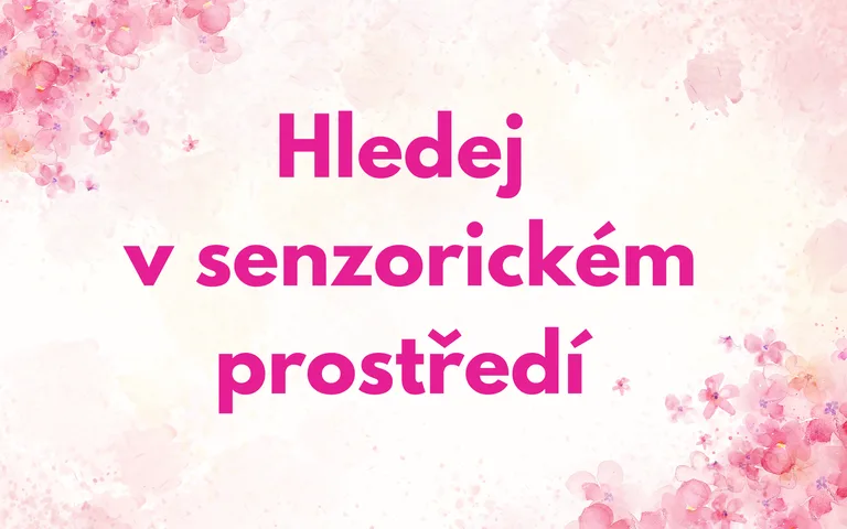 Hledej v senzorickém prostředí