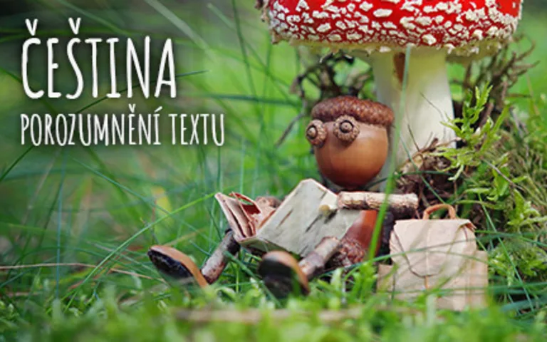 Čeština, porozumění textu