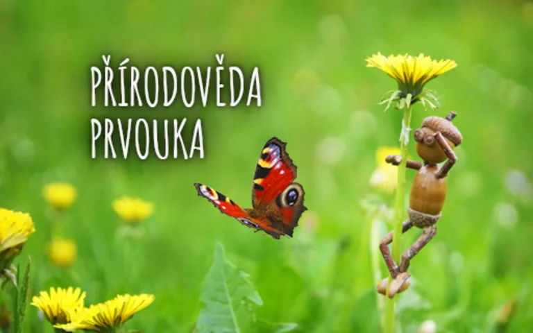Přírodověda, prvouka