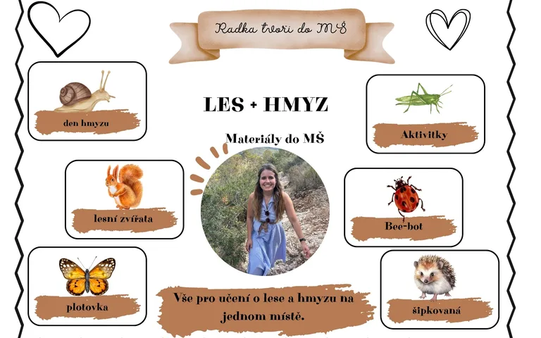 les + hmyz