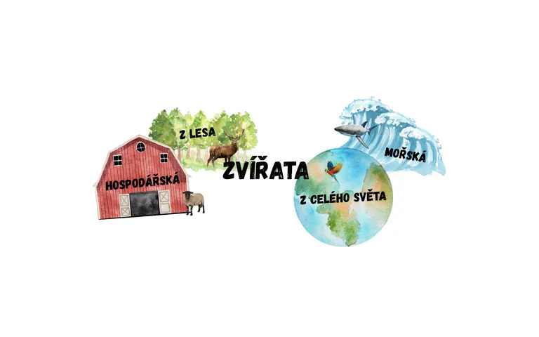 Zvířata