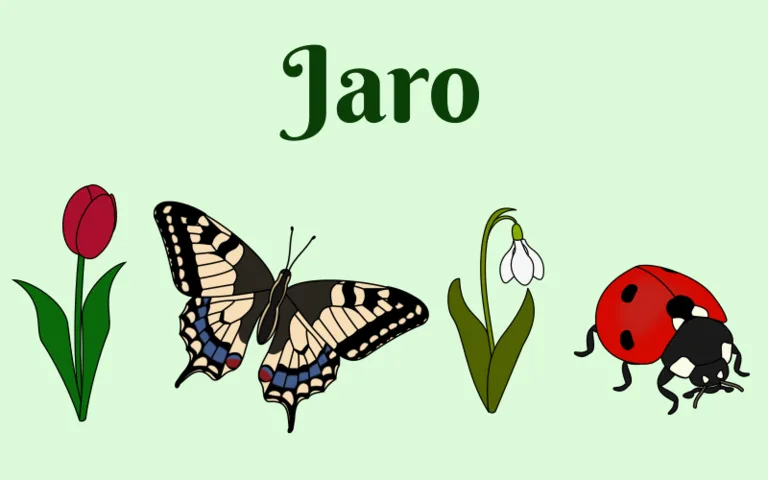 Jaro