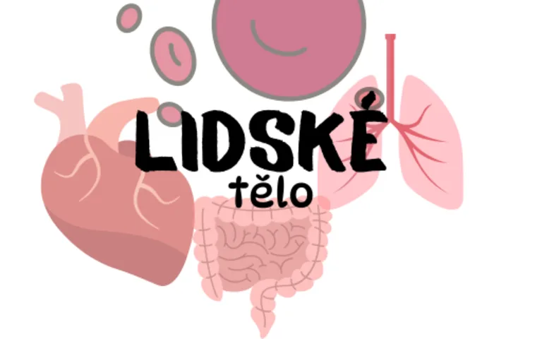 Lidské tělo