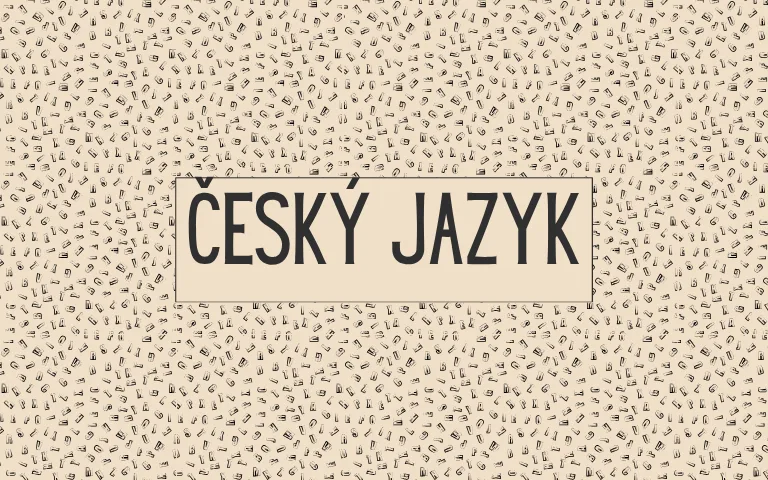 Český jazyk