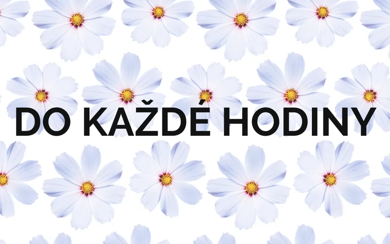 Aktivity pro zpestření