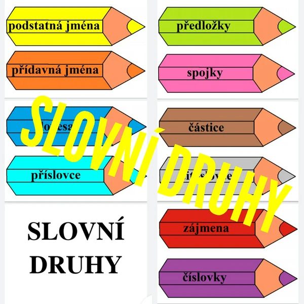 SLOVNÍ DRUHY