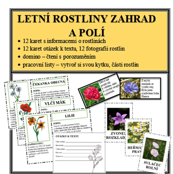 Letní rostliny zahrad a polí