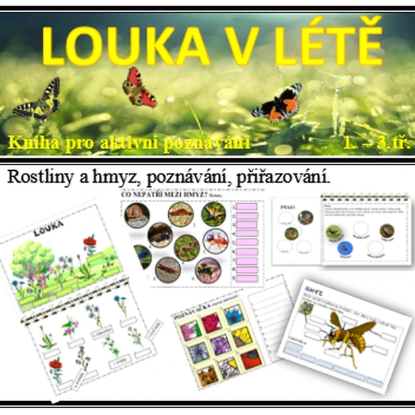 Louka v létě