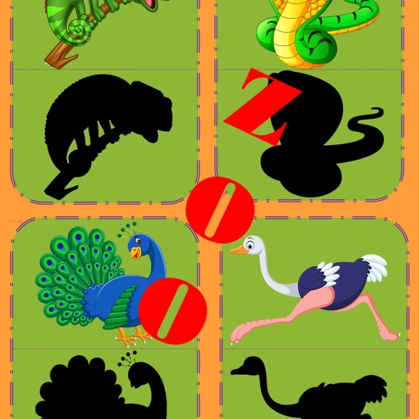 TIENE - ZOO