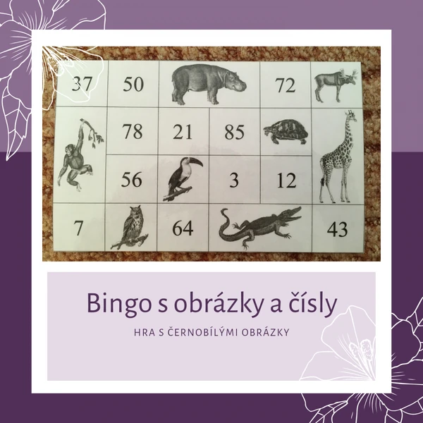 Bingo s obrázky a čísly - černobílé