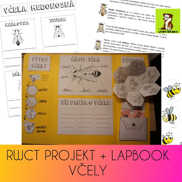 PROJEKT + LAPBOOK VČELY