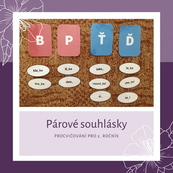 Párové souhlásky