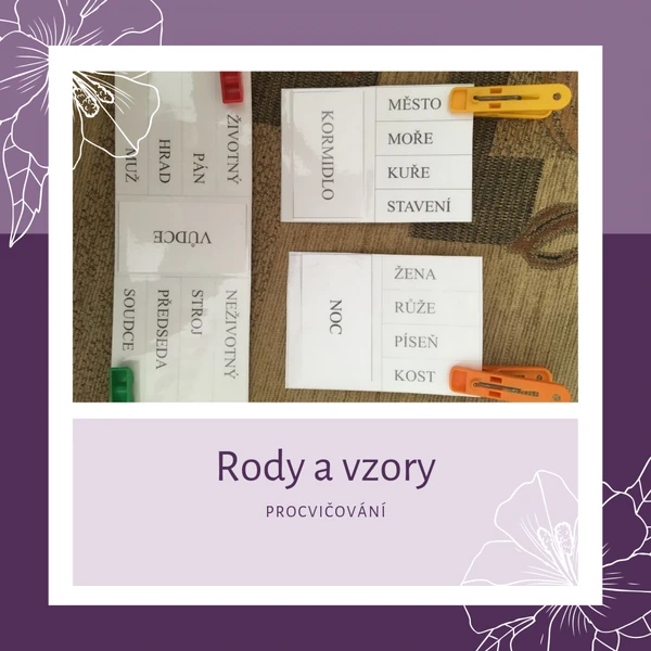 Rody a vzory