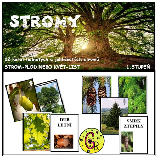 STROMY