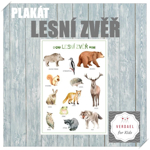 PLAKÁT LESNÍ ZVĚŘ