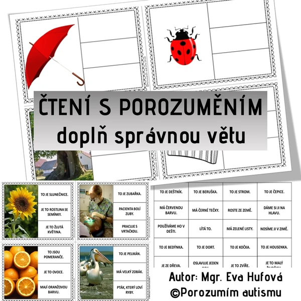 Čtení s porozuměním - doplň správnou větu