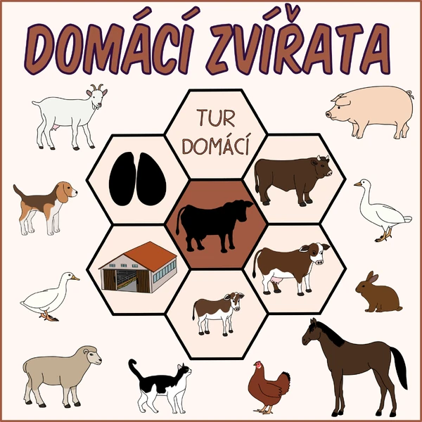 Domácí zvířata