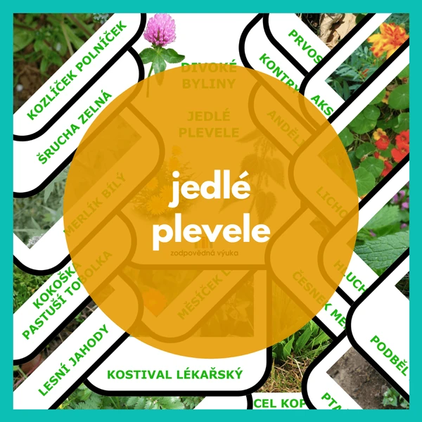 jedlé plevele