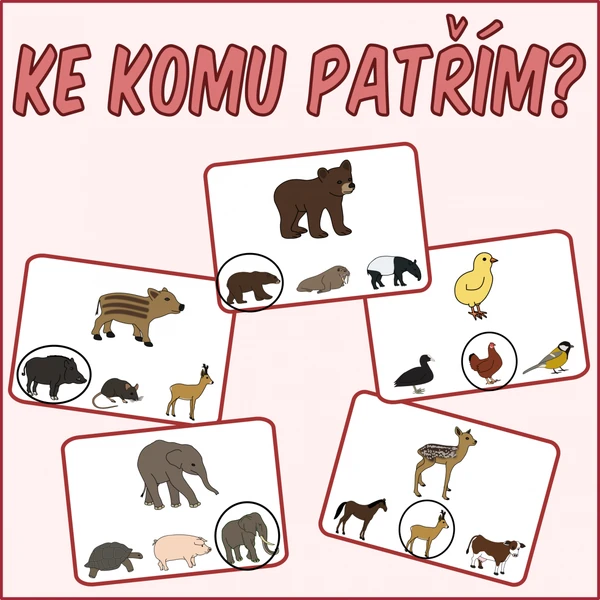 Mláďata