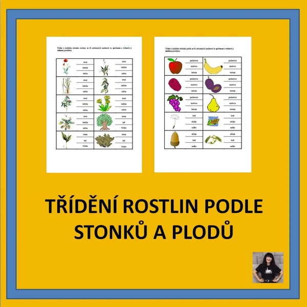 TŘÍDĚNÍ ROSTLIN PODLE STONKŮ A PLODŮ 