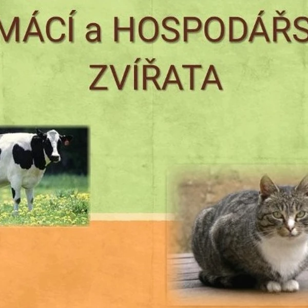 Domácí a hospodářská zvířata