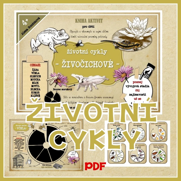 Životní cykly - živočichové a hmyz