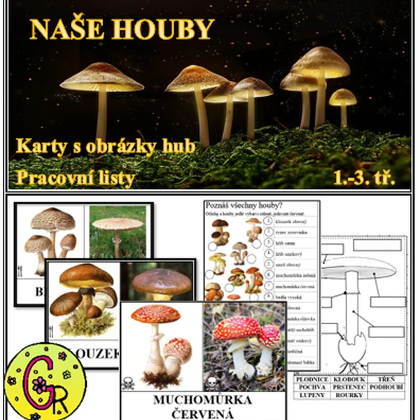 Naše houby