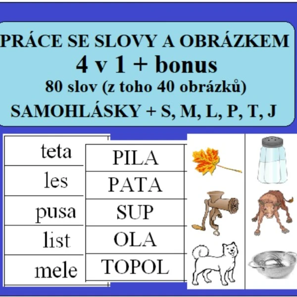 PRÁCE SE SLOVY A OBRÁZKEM