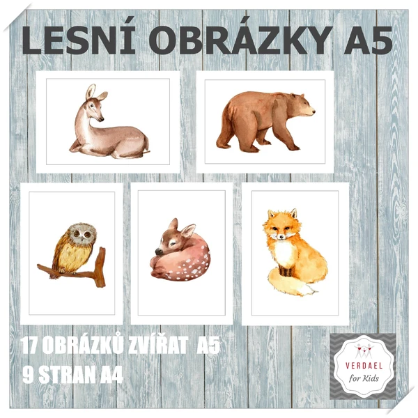 17 obrázků lesních zvířat 