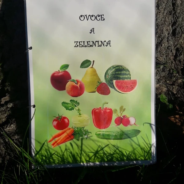 Ovoce a zelenina