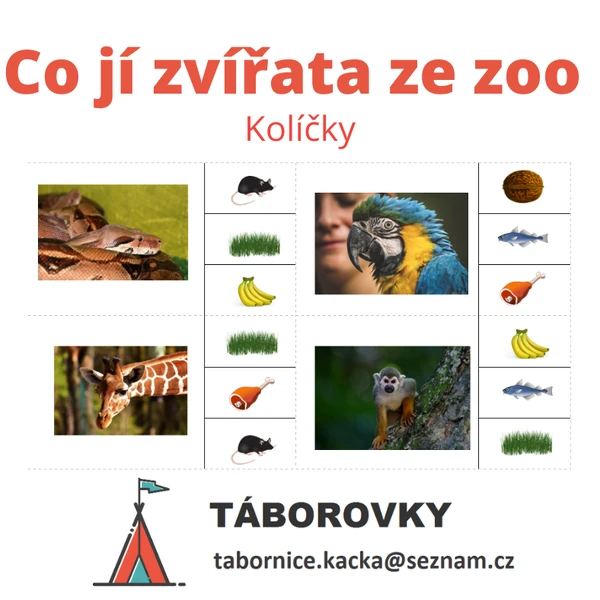 Co jí zvířata ze zoo - kolíčky