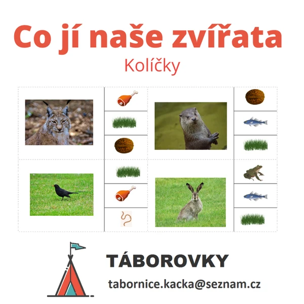Co jí naše zvířata - kolíčky
