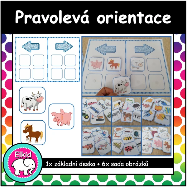 Pravolevá orientace