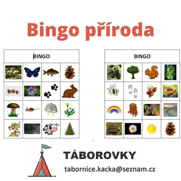 Bingo příroda