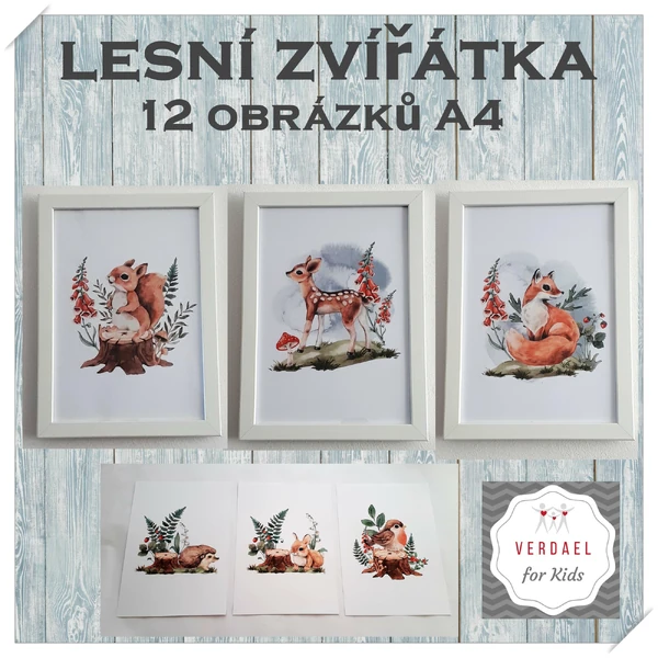 LESNÍ ZVÍŘÁTKA -12 obrázků A4 
