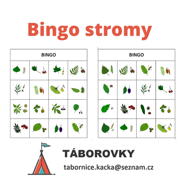 Bingo stromy
