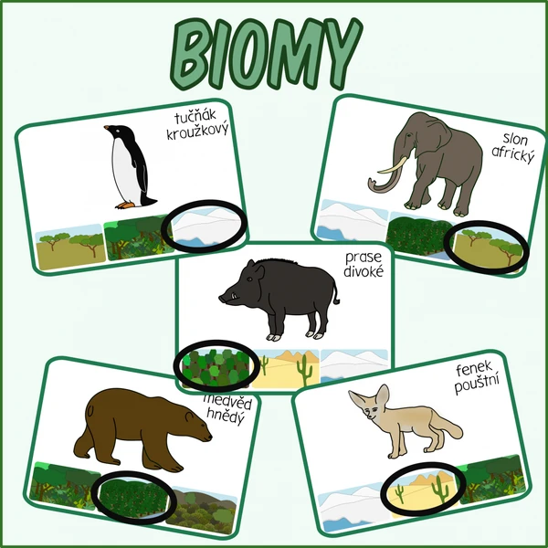 Biomy