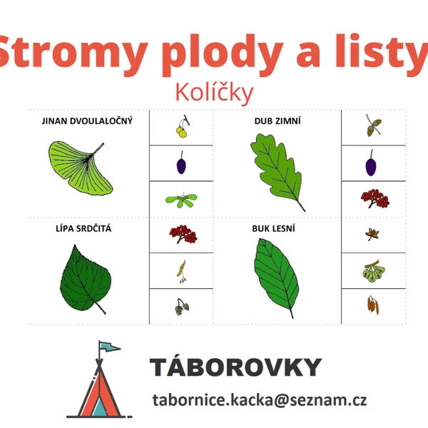 Stromy plody a listy - kolíčky