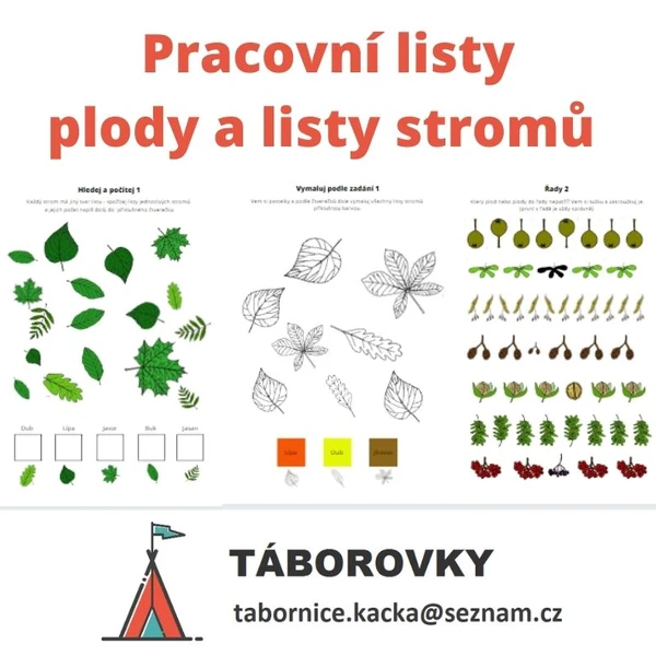 Pracovní listy plody a listy stromů