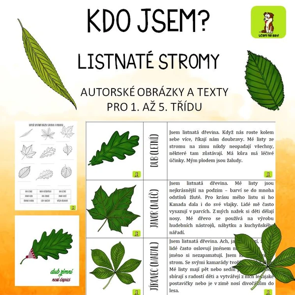 KDO JSEM? LISTNATÉ STROMY PRO 1. STUPEŇ