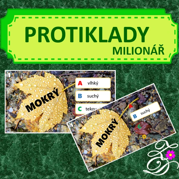 Protiklady (milionář)