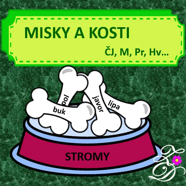 Misky a kosti
