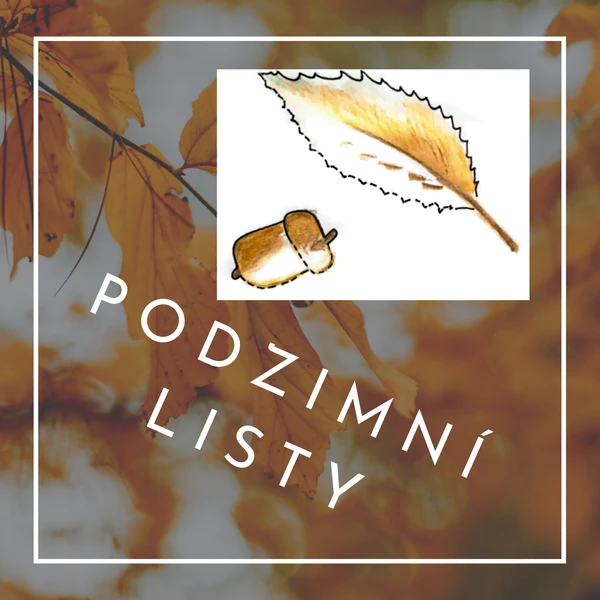 Podzimní listy