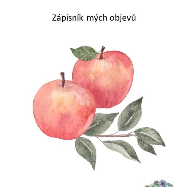 ZKOUMÁME JABLÍČKA