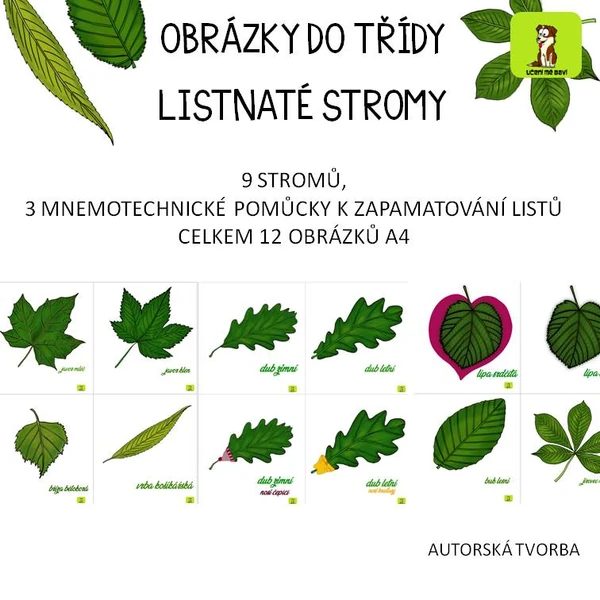 LISTNATÉ STROMY - VÝZDOBA TŘÍDY 