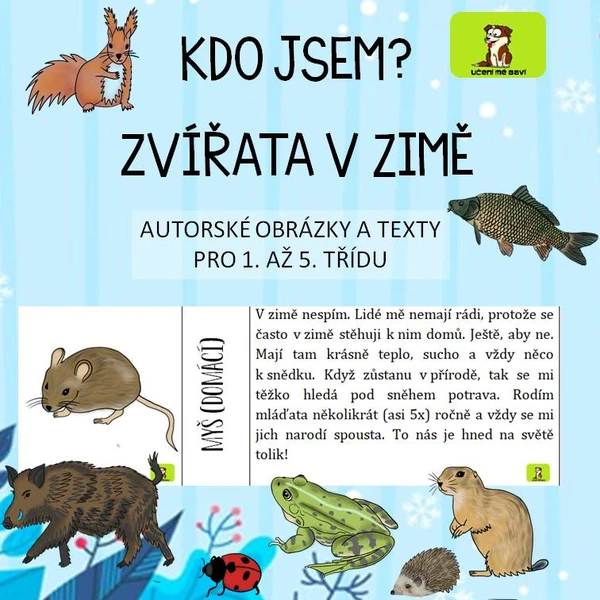 KDO JSEM? ZVÍŘATA V ZIMĚ - JAK U NÁS PŘEČKAJÍ ZIMU?