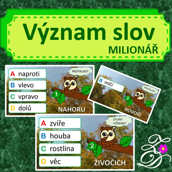 Význam slov (milionář)