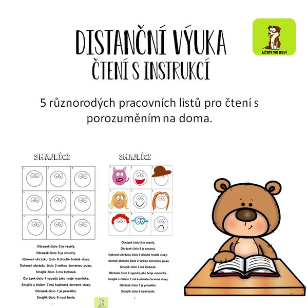 Distanční výuka - čtení s instrukcí, čtení s porozuměním